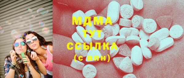 мдпв Богданович