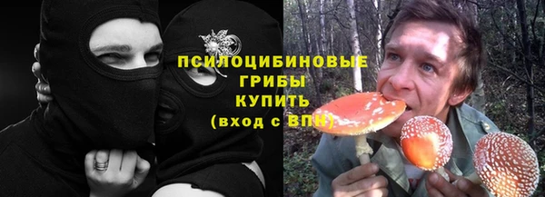стаф Саяногорск