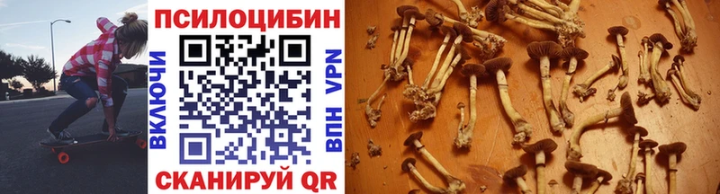 Псилоцибиновые грибы GOLDEN TEACHER Полесск